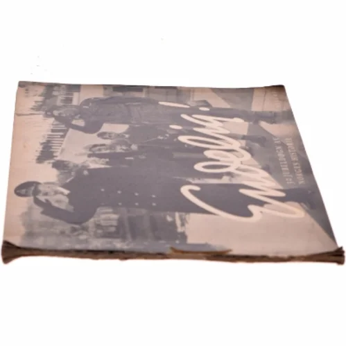 Endelig! 30 Jubeldøgn af Norges Historie bog