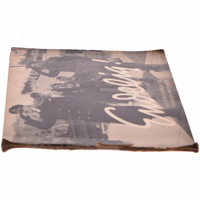 Endelig! 30 Jubeldøgn af Norges Historie bog