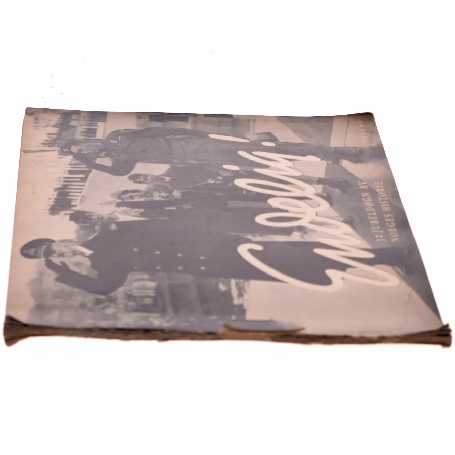 Endelig! 30 Jubeldøgn af Norges Historie bog