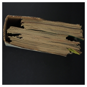 Anders And & Co. Tegneserieblade