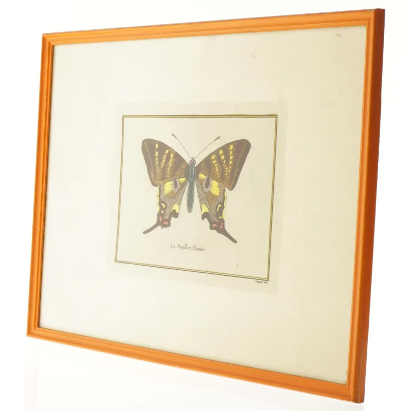 Indrammet sommerfugletryk (str. 35 x 27 cm)