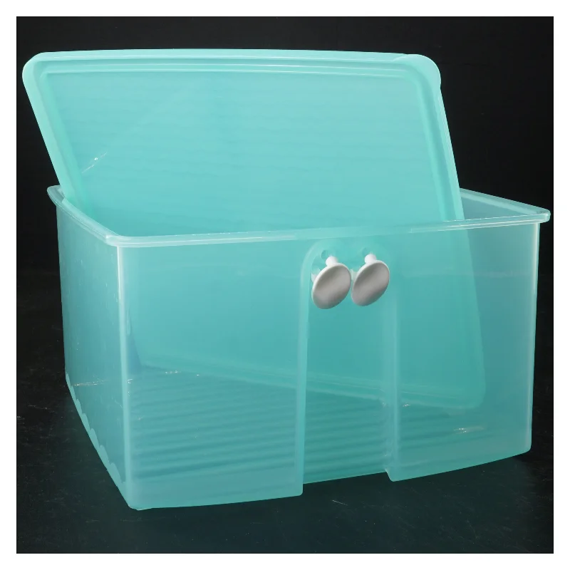 Køleskabsæske med låg fra Tupperware (str. 21 x 21 x 12 cm)