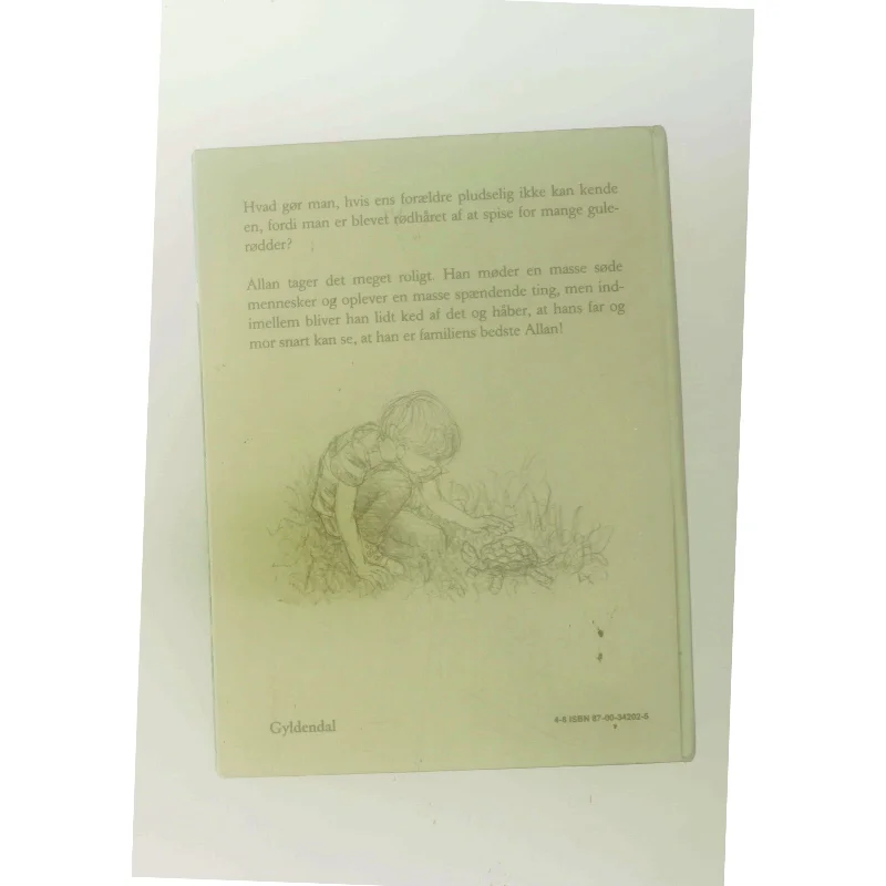 Allan alene af Ib Spang Olsen (Bog)