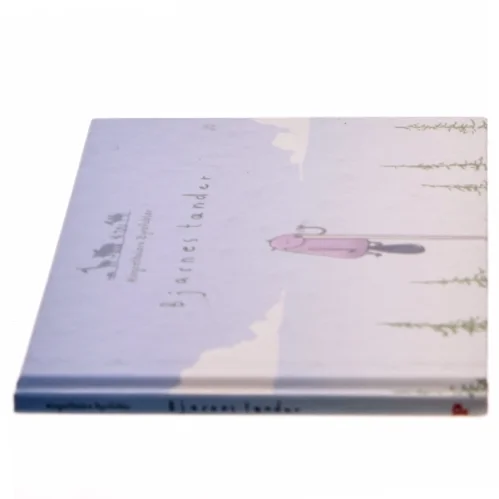 Bjarnes tænder af Anders Morgenthaler (Bog)