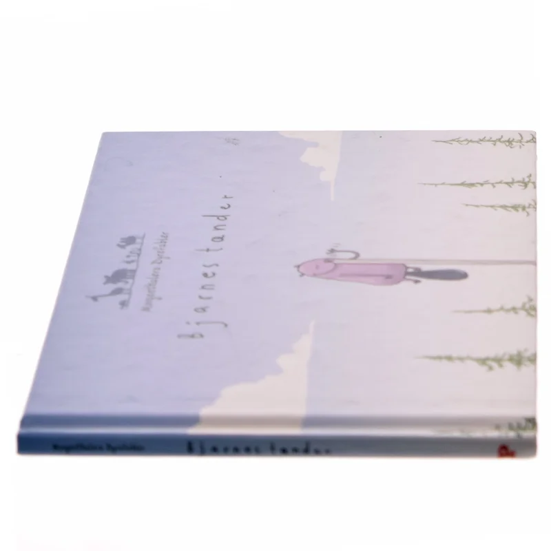 Bjarnes tænder af Anders Morgenthaler (Bog)