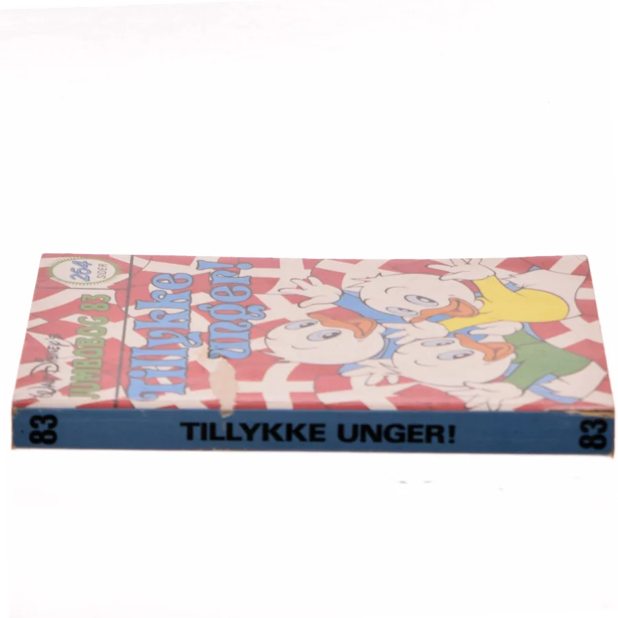 Tillykke unger! (Bog)