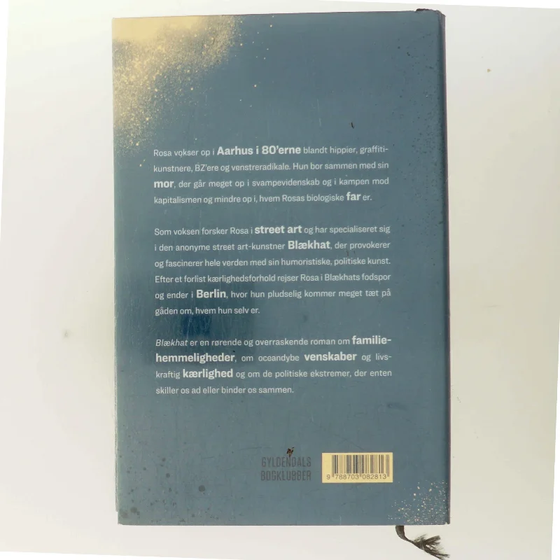 Blækhat : roman af Sissel-Jo Gazan (Bog)