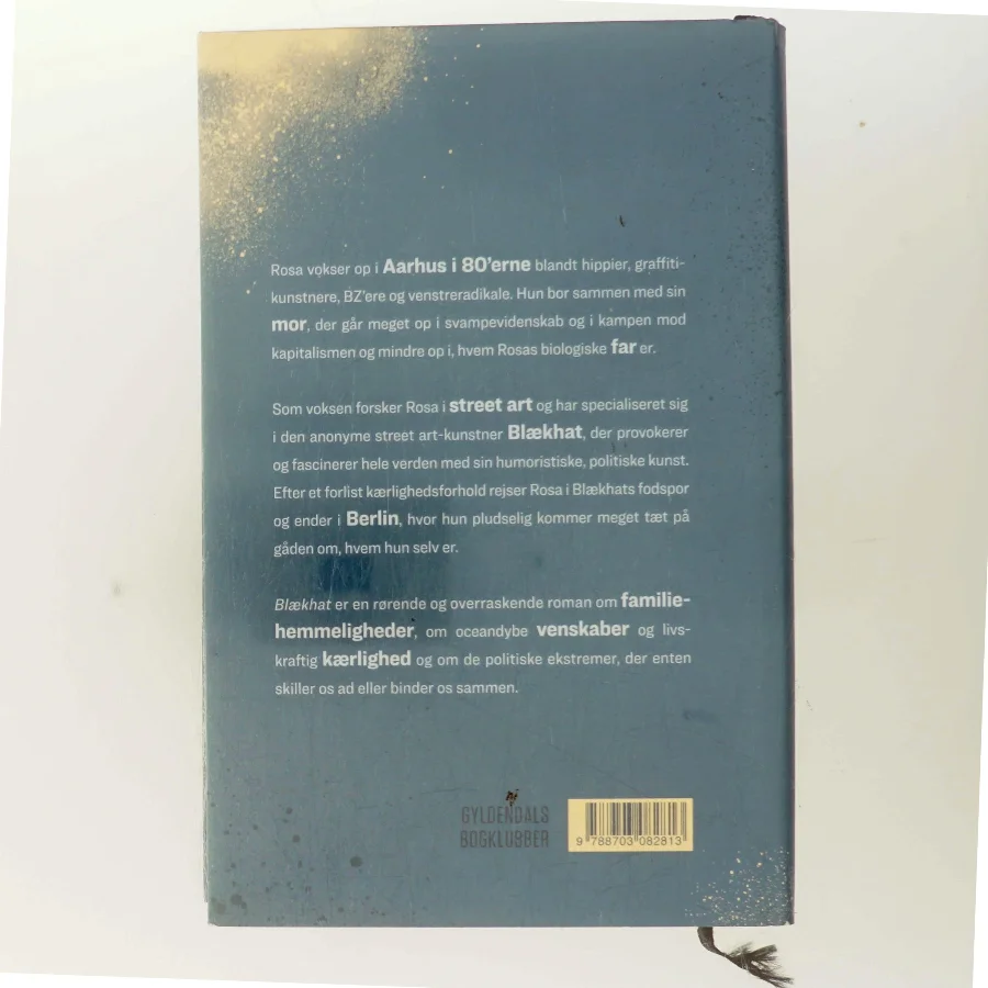 Blækhat : roman af Sissel-Jo Gazan (Bog)