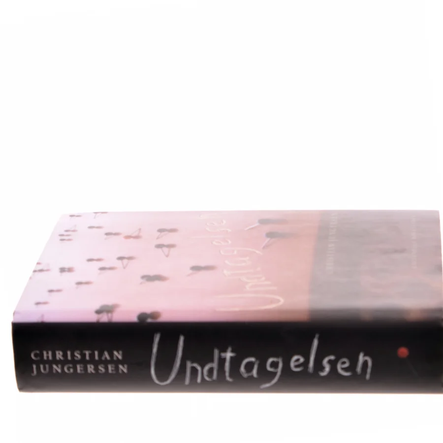 Undtagelsen : roman af Christian Jungersen (Bog)