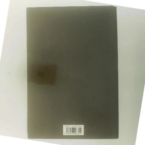 Undtagelsen : roman af Christian Jungersen (Bog)