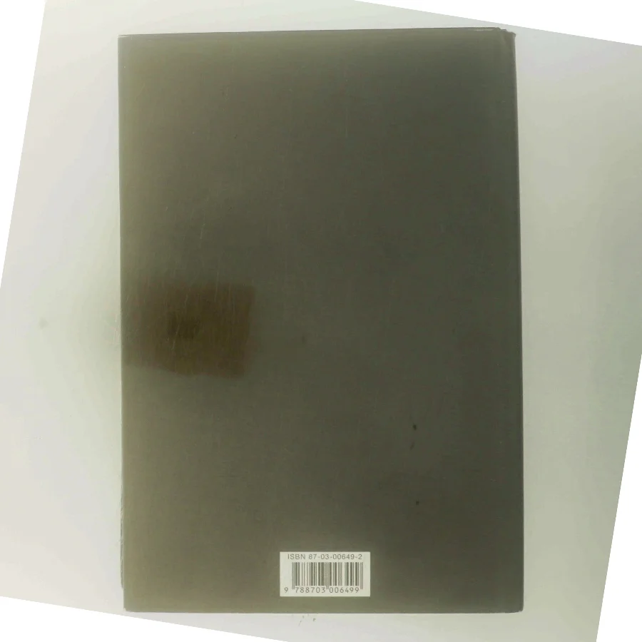 Undtagelsen : roman af Christian Jungersen (Bog)