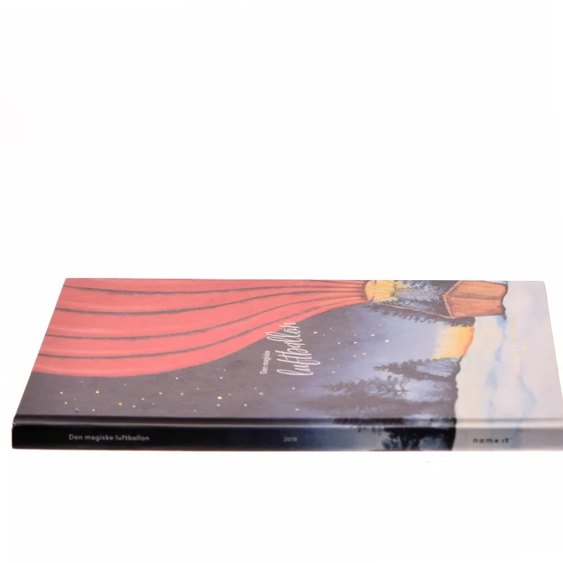 Den magiske luftballon af Nicole Boyle Rødtnes (Bog)