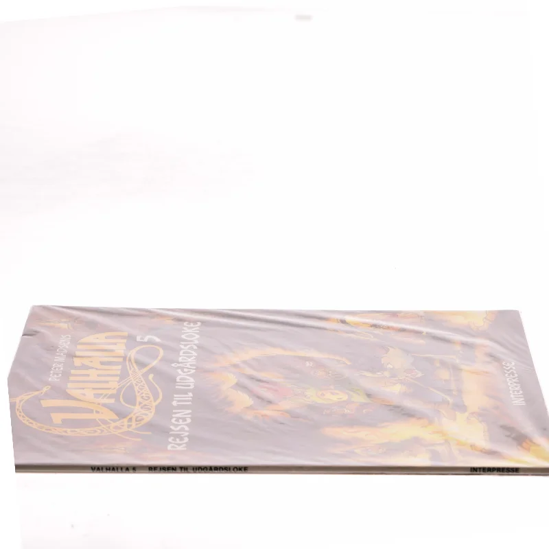 Valhalla 5 : rejsen til Udgårdsloke (Bog)