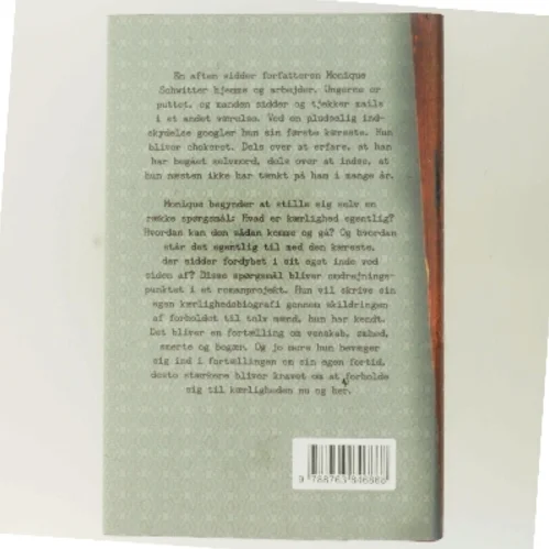 En blandt andre : roman af Monique Schwitter (Bog)