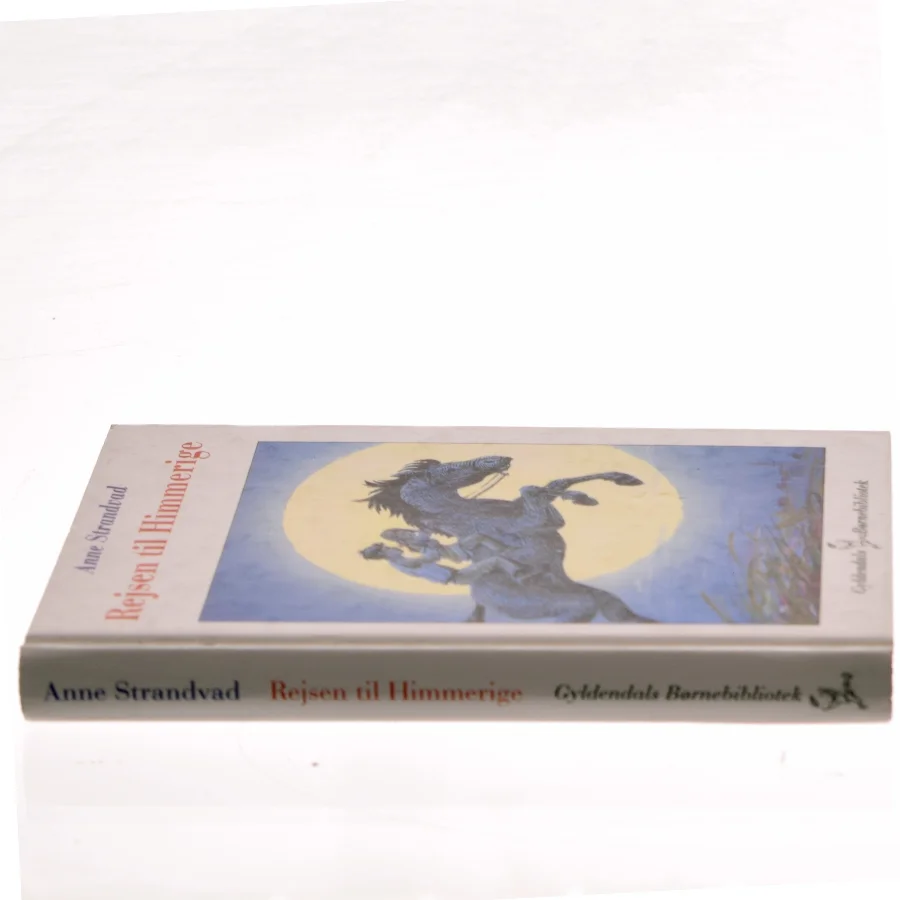 Rejsen til Himmerige af Anne Strandvad (Bog)
