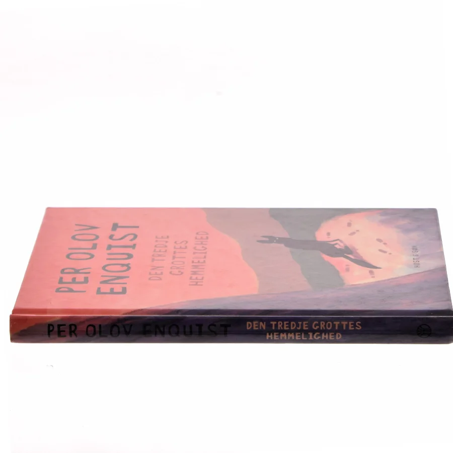 Den tredje grottes hemmelighed af Per Olov Enquist (Bog)