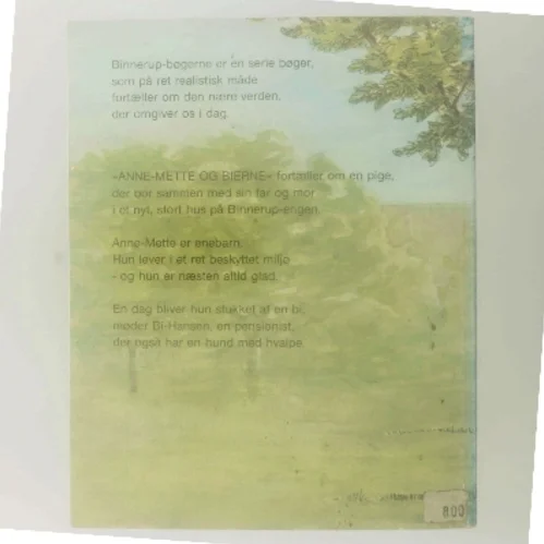 Anne-Mette og bierne af Jette Ahm (Bog)