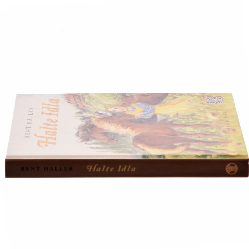 Halte Idla : en fortælling om tro, håb og kærlighed af Bent Haller (Bog)