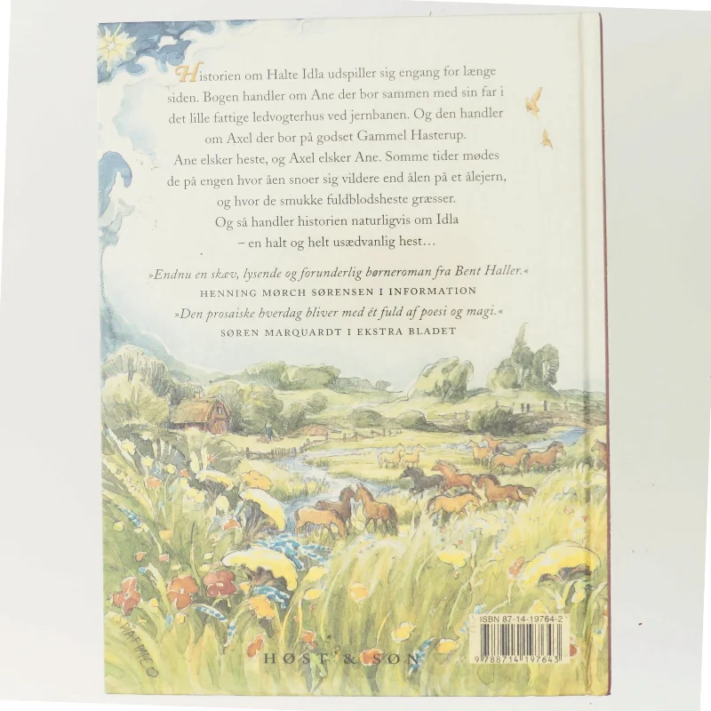 Halte Idla : en fortælling om tro, håb og kærlighed af Bent Haller (Bog)