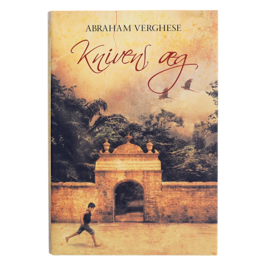 Knivens æg : roman af Abraham Verghese (Bog)
