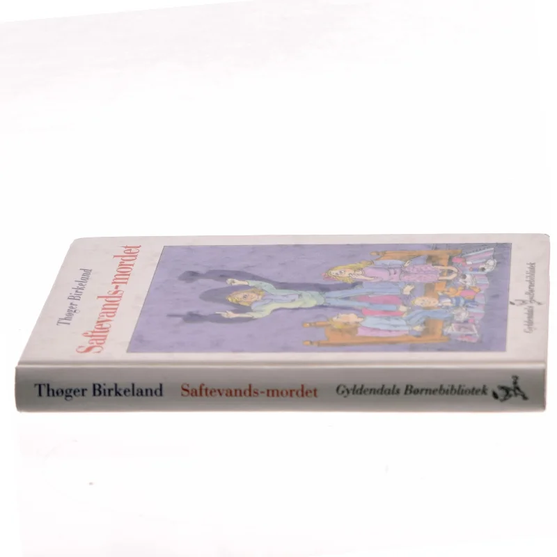 Saftevands-mordet af Thøger Birkeland (Bog)