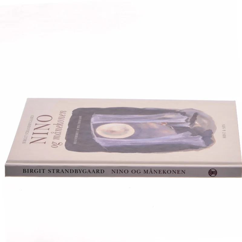 Nino og månekonen af Birgit Strandbygaard (Bog)