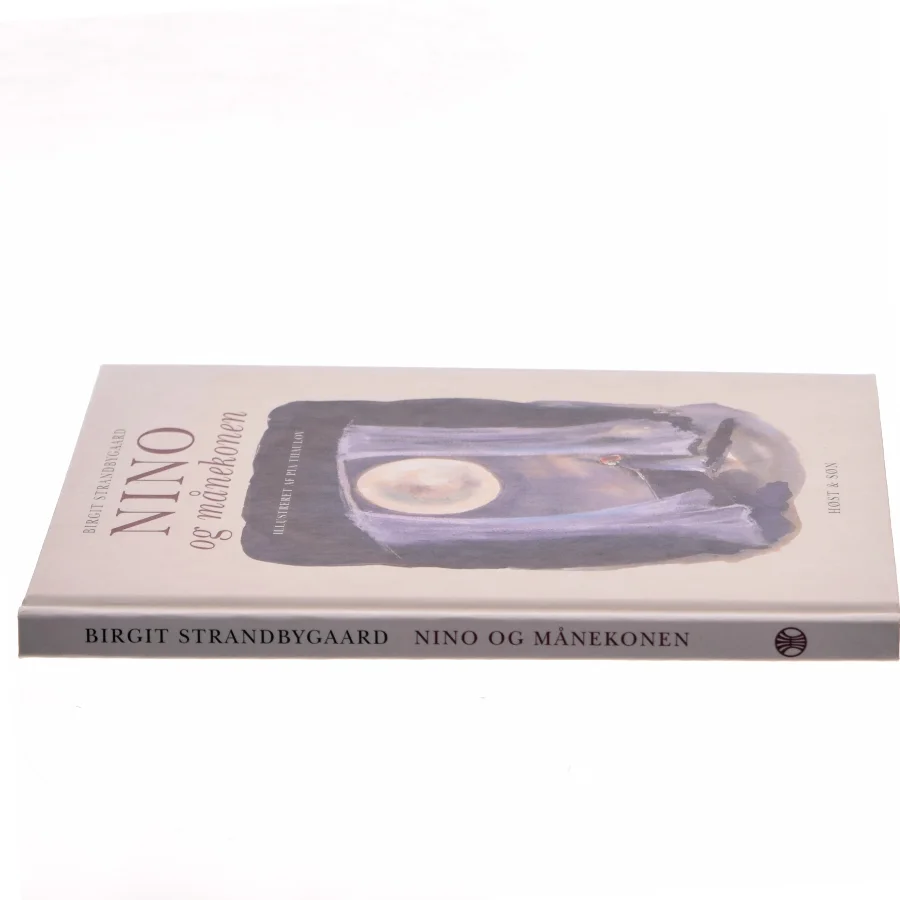 Nino og månekonen af Birgit Strandbygaard (Bog)
