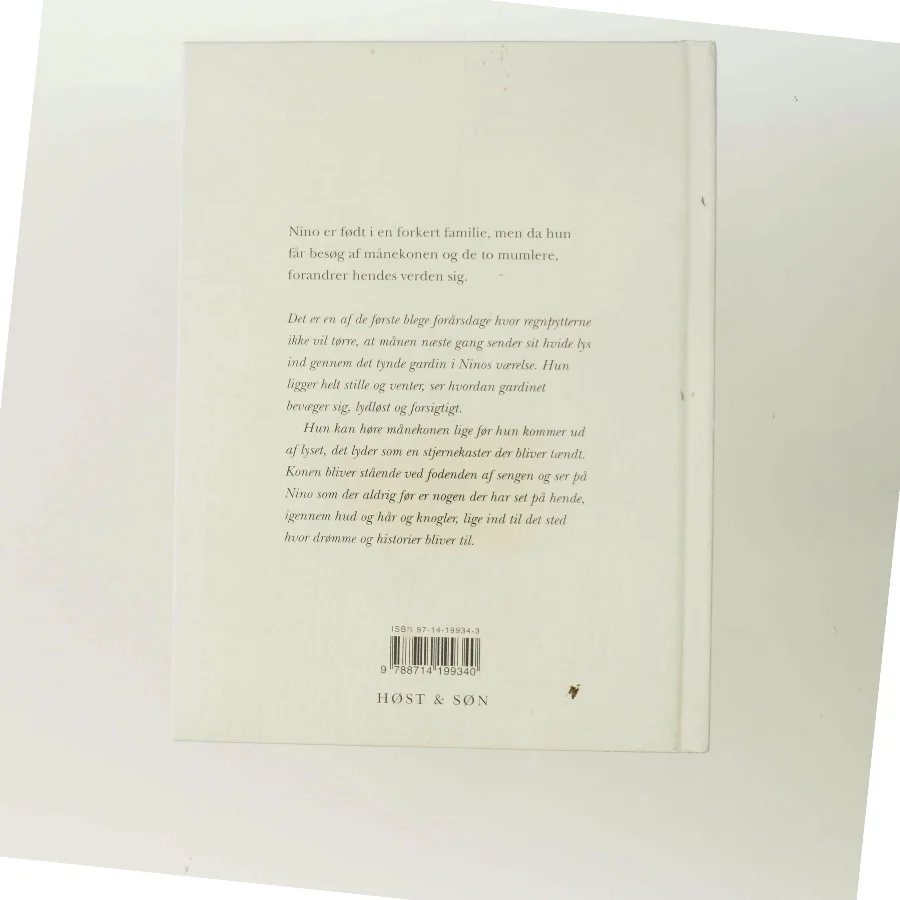 Nino og månekonen af Birgit Strandbygaard (Bog)
