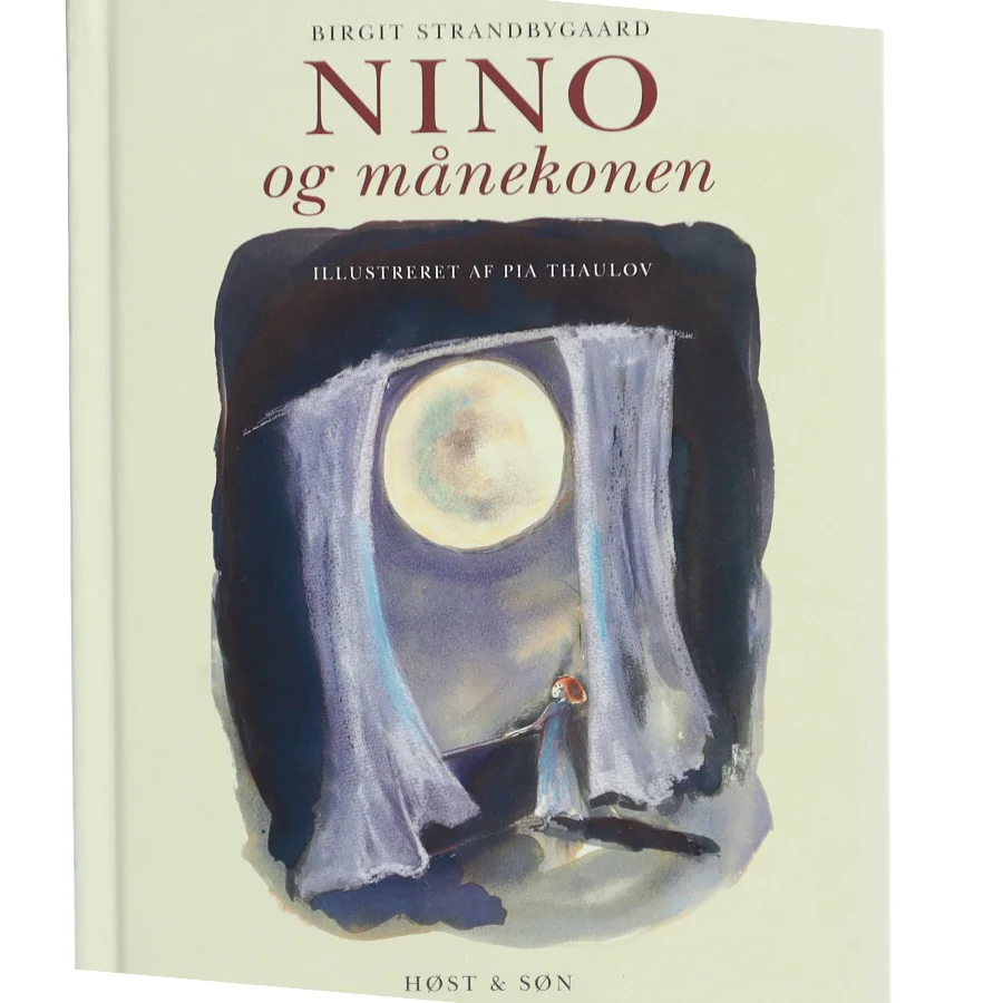 Nino og månekonen af Birgit Strandbygaard (Bog)
