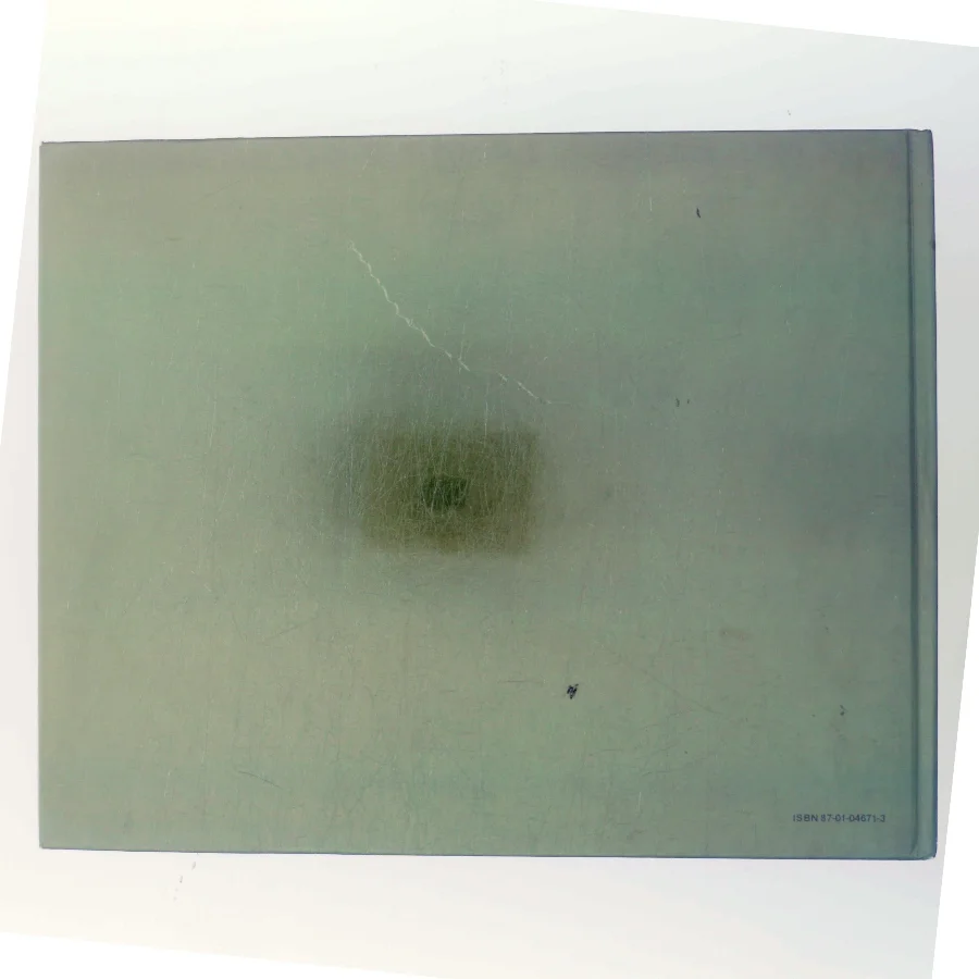 Sara af Kerstin Thorvall (Bog)