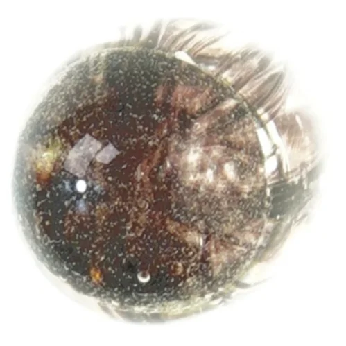 Brevvægt (str. 12 x 6 cm)