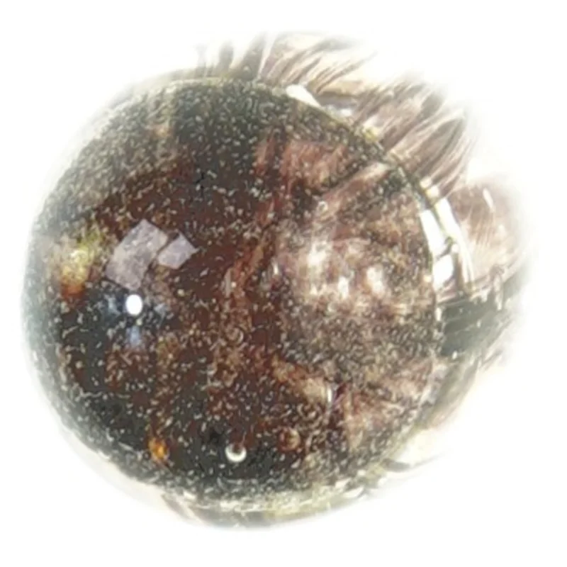 Brevvægt (str. 12 x 6 cm)