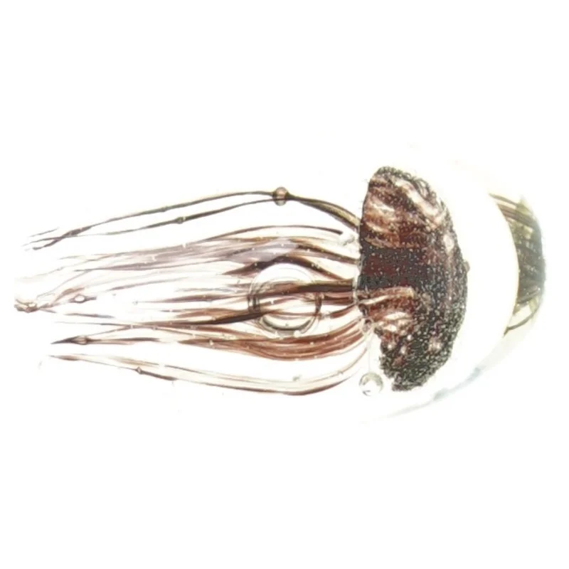 Brevvægt (str. 12 x 6 cm)