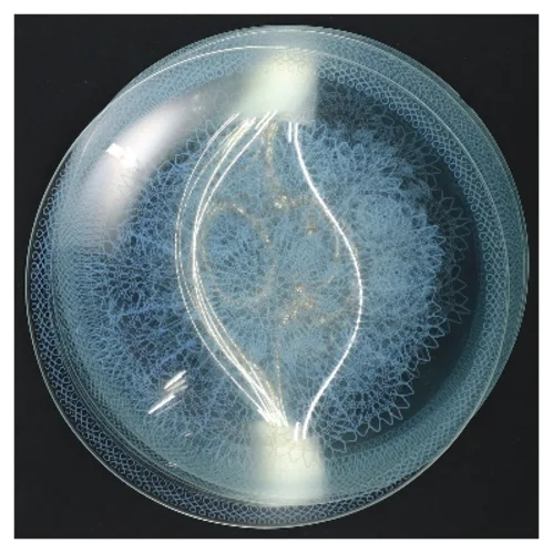 Set med 9 glas tallerkener (str. 9 stk Ø 16 cm)