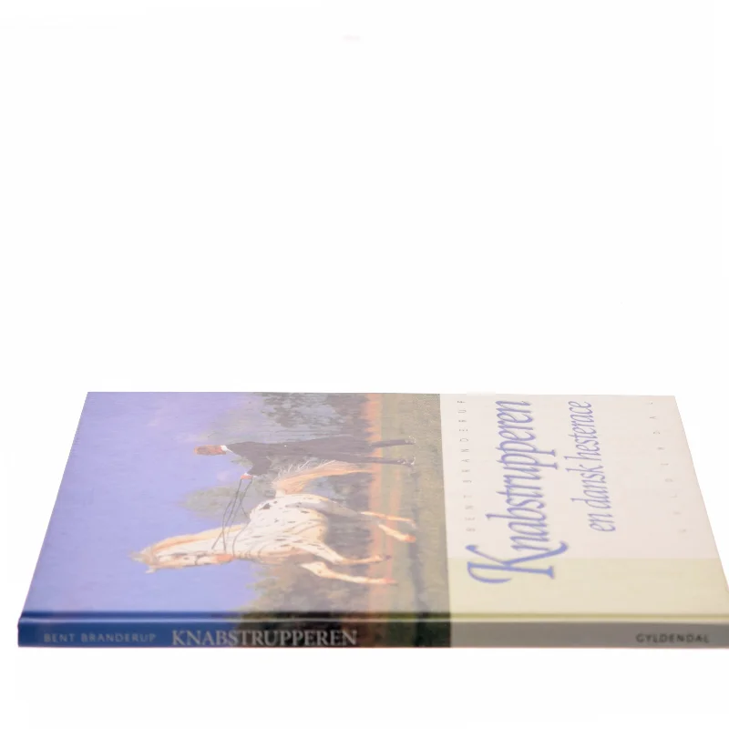 Knabstrupperen : en dansk hesterace af Bent Branderup (Bog)