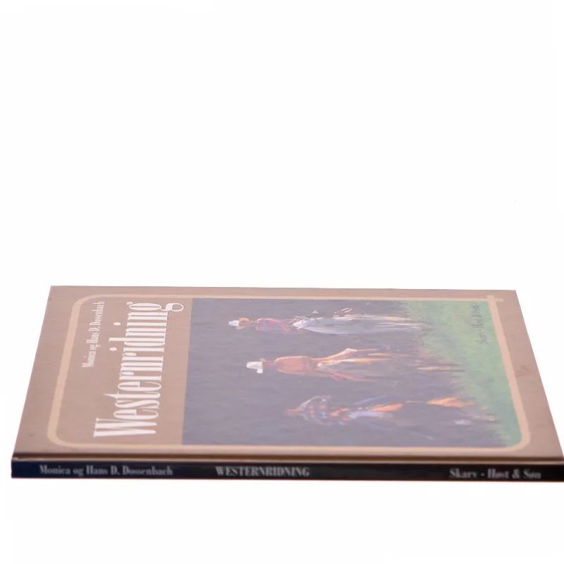 Westernridning (Bog)