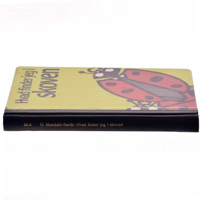 Hvad finder jeg i skoven af G. Mandahi-Barth (Bog)