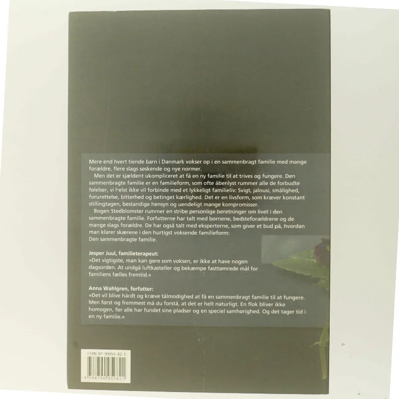 Stedblomster : om livet i den sammenbragte familie (Bog)