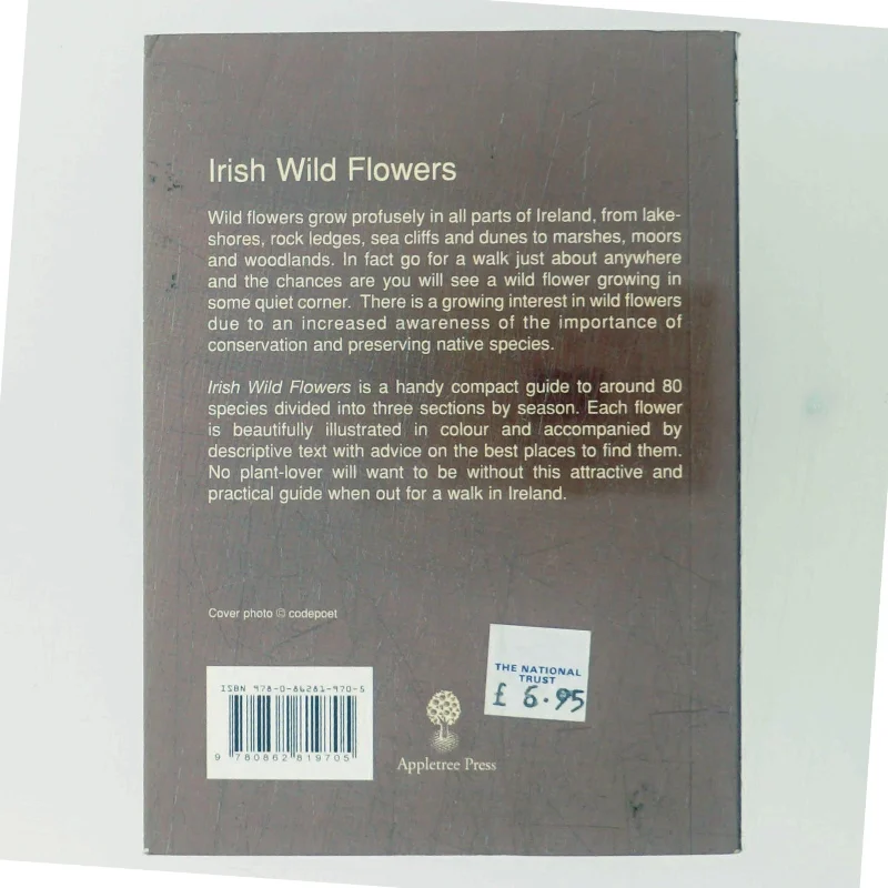 Irish Wild Flowers af Ruth Isabel Ross (Bog)