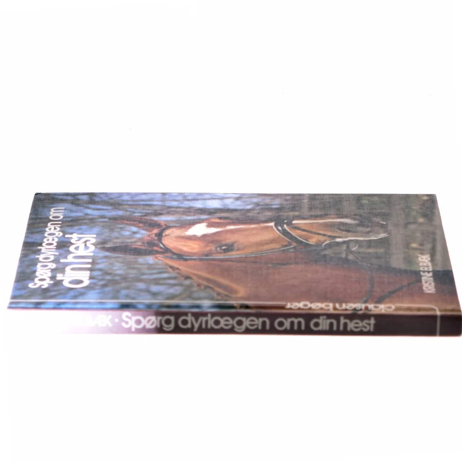 Spørg dyrlægen om din hest af Kristine Elbæk (Bog)