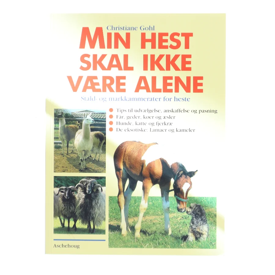 Min hest skal ikke være alene af Christiane Gohl (Bog)