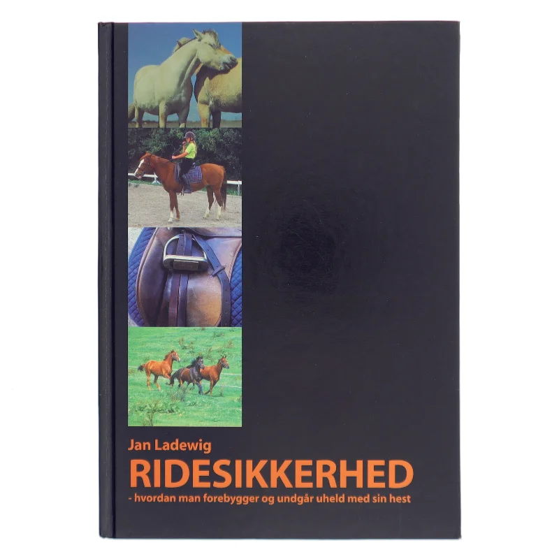 Ridesikkerhed af Jan Ladewig (Bog)