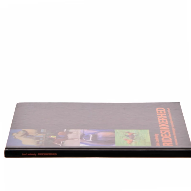 Ridesikkerhed af Jan Ladewig (Bog)