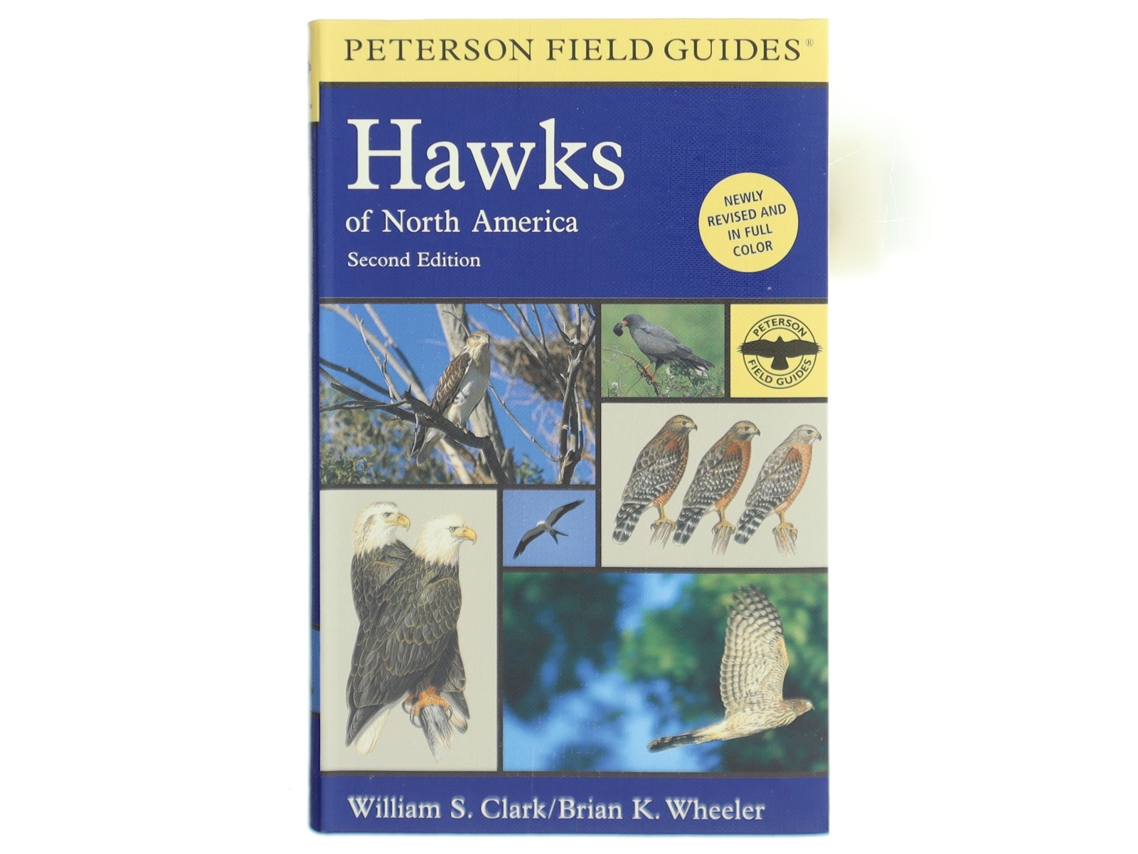 A Field Guide to Hawks of North America af William S. Clark, Brian K. Wheeler (Bog)