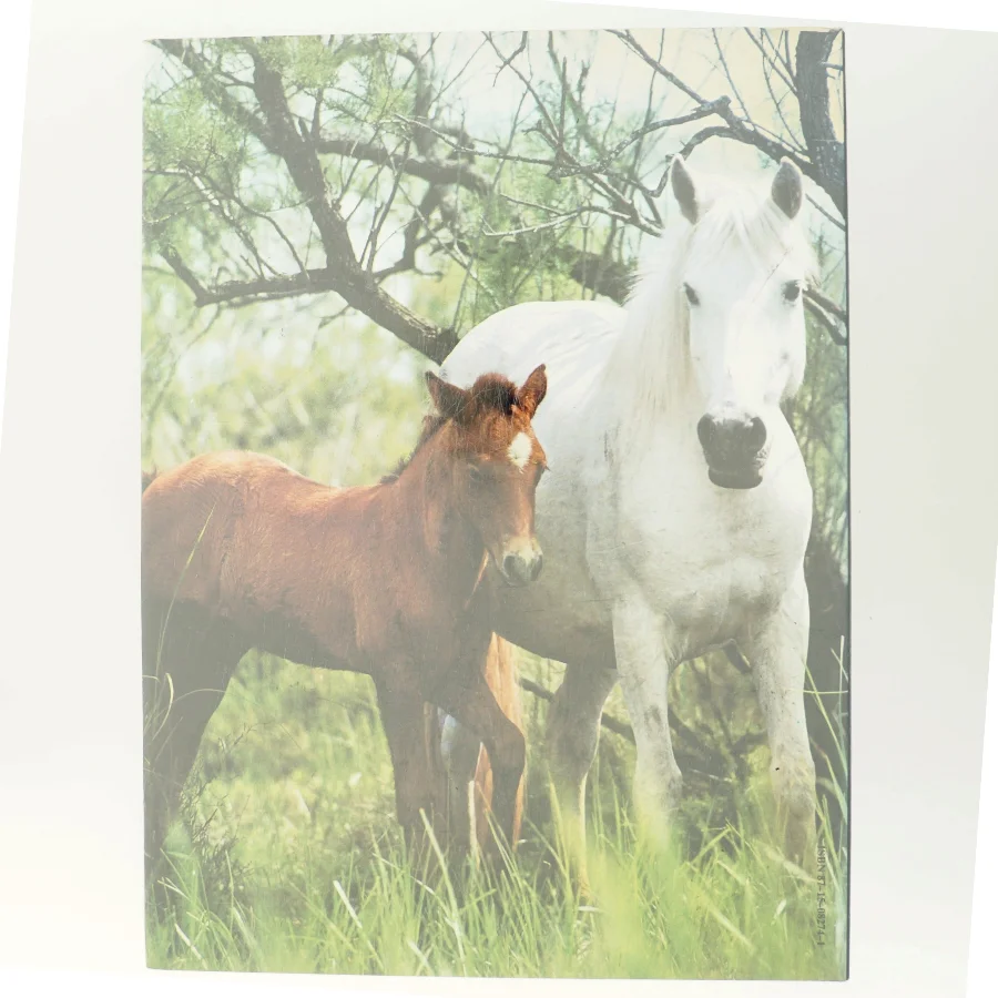 Dyrevennen - bogen om heste af Jane Burton (Bog)