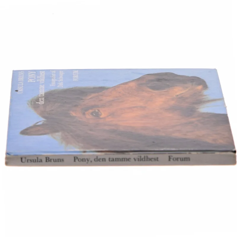 Pony, den tamme vildhest af Ursula Bruns (Bog)