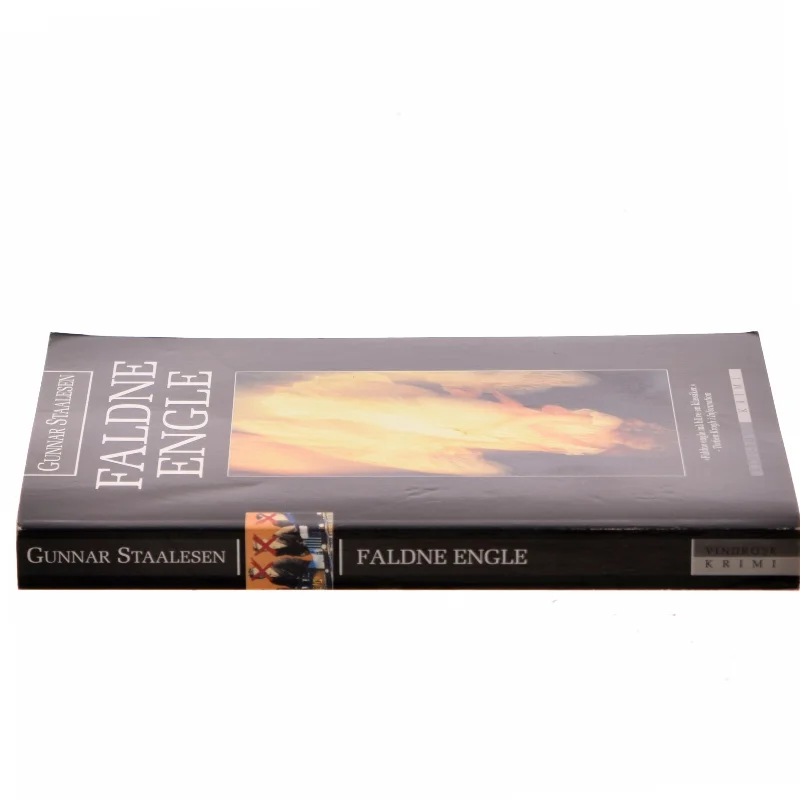 Faldne engle af Gunnar Staalesen (Bog)