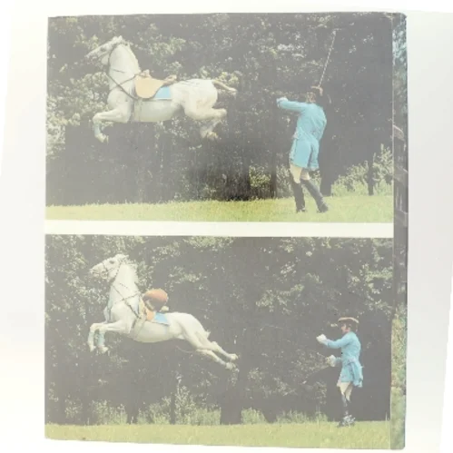 Hestens forunderlige verden (Bog)