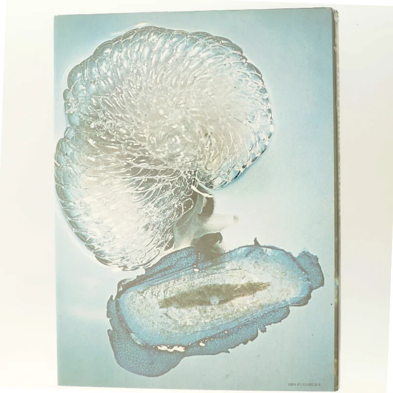 Livet under vandet  - den skjulte verden (Bog)