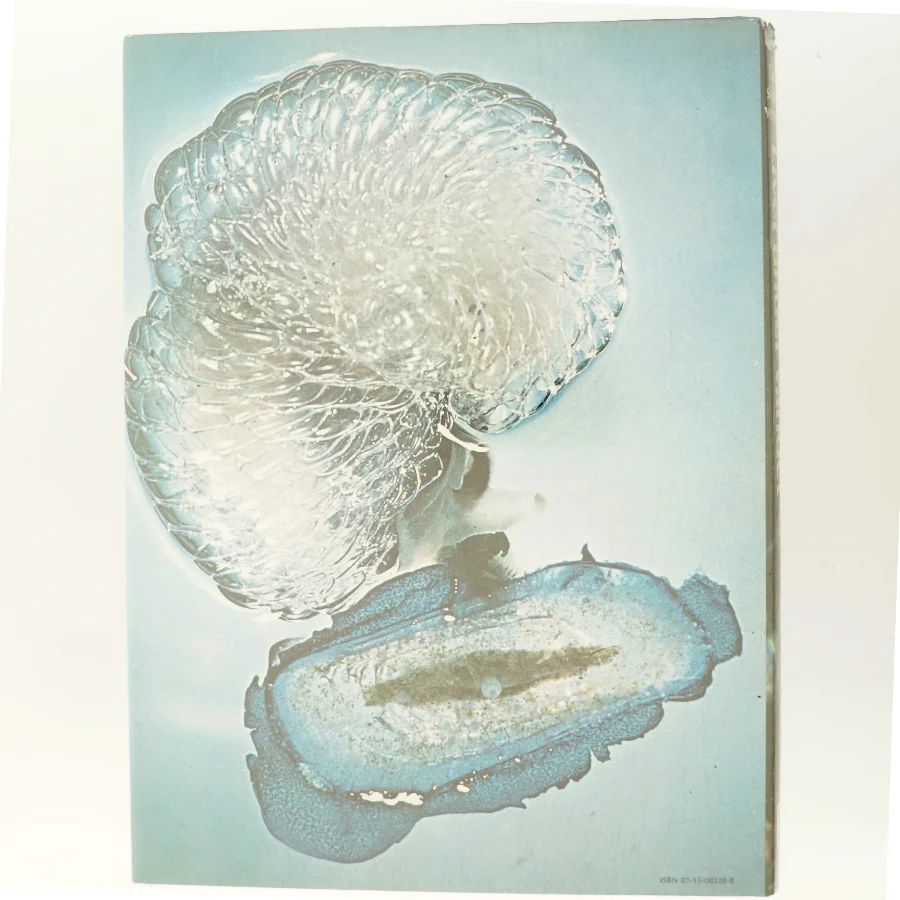 Livet under vandet  - den skjulte verden (Bog)